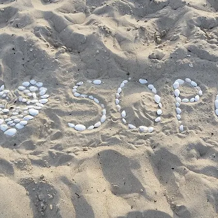 Roza 3* Sopoty