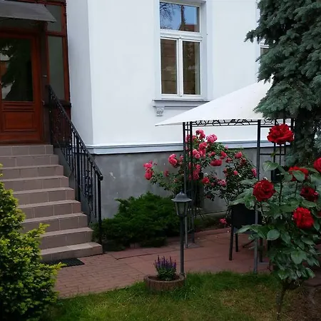 Bed and breakfast Roza
